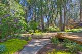 12636 Banner Lava Cap - Photo 74