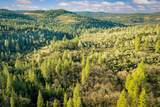14941 Deadmans Flat Road - Photo 14
