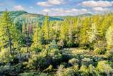 14941 Deadmans Flat Road - Photo 28