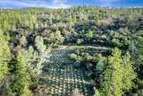 14941 Deadmans Flat Road - Photo 31