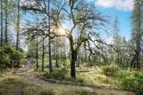 14941 Deadmans Flat Road - Photo 36