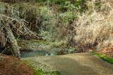 14941 Deadmans Flat Road - Photo 40