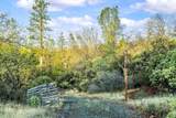 14941 Deadmans Flat Road - Photo 43