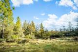 14941 Deadmans Flat Road - Photo 8