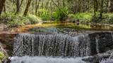 7250 Mitchell Mill Road - Photo 4