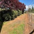 18145 Holly Road - Photo 60
