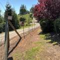 18145 Holly Road - Photo 61