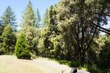 18145 Holly Road - Photo 62