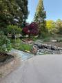 14704 Guadalupe Drive - Photo 41