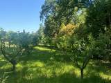 2705 Vista Roble Drive - Photo 36