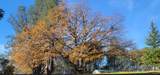 21792 Trotter Road - Photo 13