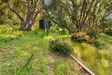 12921 Slate Creek - Photo 34