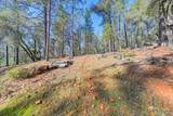10352 Mountain Lion Lane - Photo 28