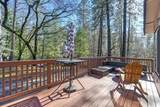 10352 Mountain Lion Lane - Photo 9