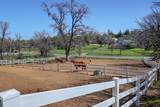 4420 El Dorado Road - Photo 14
