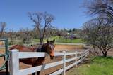 4420 El Dorado Road - Photo 15