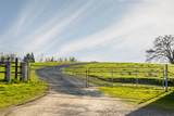 25045 Mcintire Road - Photo 31