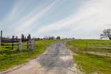 25045 Mcintire Road - Photo 6