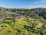 0 Troost Trail - Photo 17