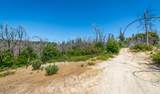 0 Possum Lane - Photo 39