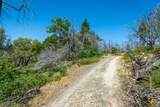 0 Possum Lane - Photo 45