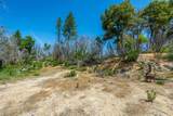 0 Possum Lane - Photo 57