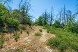 0 Possum Lane - Photo 62