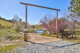 7005 Mountain Ranch Road - Photo 19