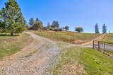 7005 Mountain Ranch Road - Photo 40