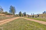 7005 Mountain Ranch Road - Photo 41