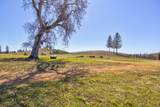 7005 Mountain Ranch Road - Photo 43