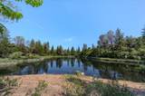 11076 Houghton Ranch Road - Photo 18