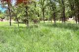 27289 Forrest Oak Road - Photo 4