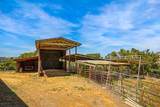 9574 Highway 49 - Photo 69