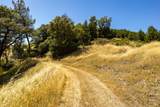 0 Pine Flat Road - Photo 29