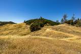 0 Pine Flat Road - Photo 35