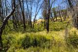 0 Pine Flat Road - Photo 51
