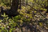 0 Pine Flat Road - Photo 54