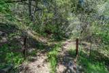 0 12.55 Acres On Red Corral Rd Road - Photo 2