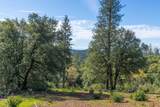 42 Petersen Ranch - Photo 11