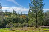 42 Petersen Ranch - Photo 15