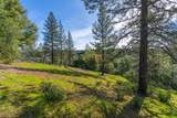 42 Petersen Ranch - Photo 16