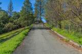 42 Petersen Ranch - Photo 34