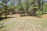 14818 Willow Glen Road - Photo 13