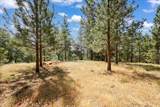 14818 Willow Glen Road - Photo 4