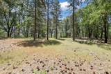 14818 Willow Glen Road - Photo 67