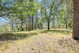 14818 Willow Glen Road - Photo 70