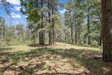14818 Willow Glen Road - Photo 73