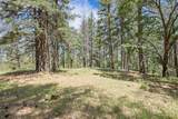 14818 Willow Glen Road - Photo 74