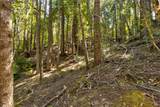 33170 Frog Pond Road - Photo 11